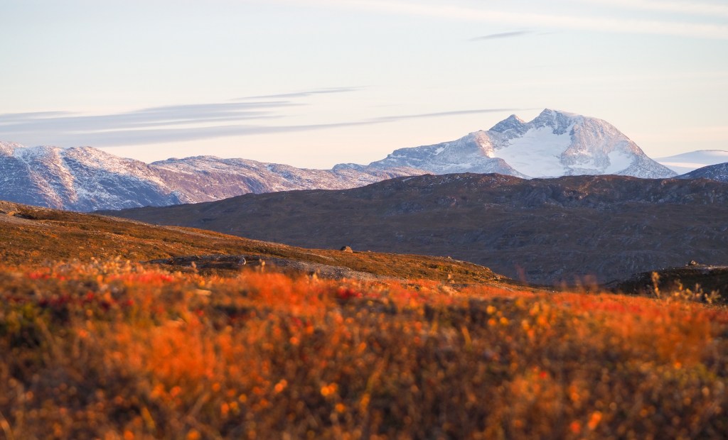 Okstindan i Hemnes sett fra Mofjellet, Mo i Rana.
