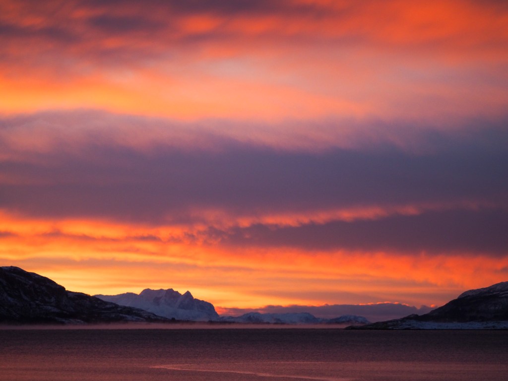 Dønnamannen en januarettermiddag.