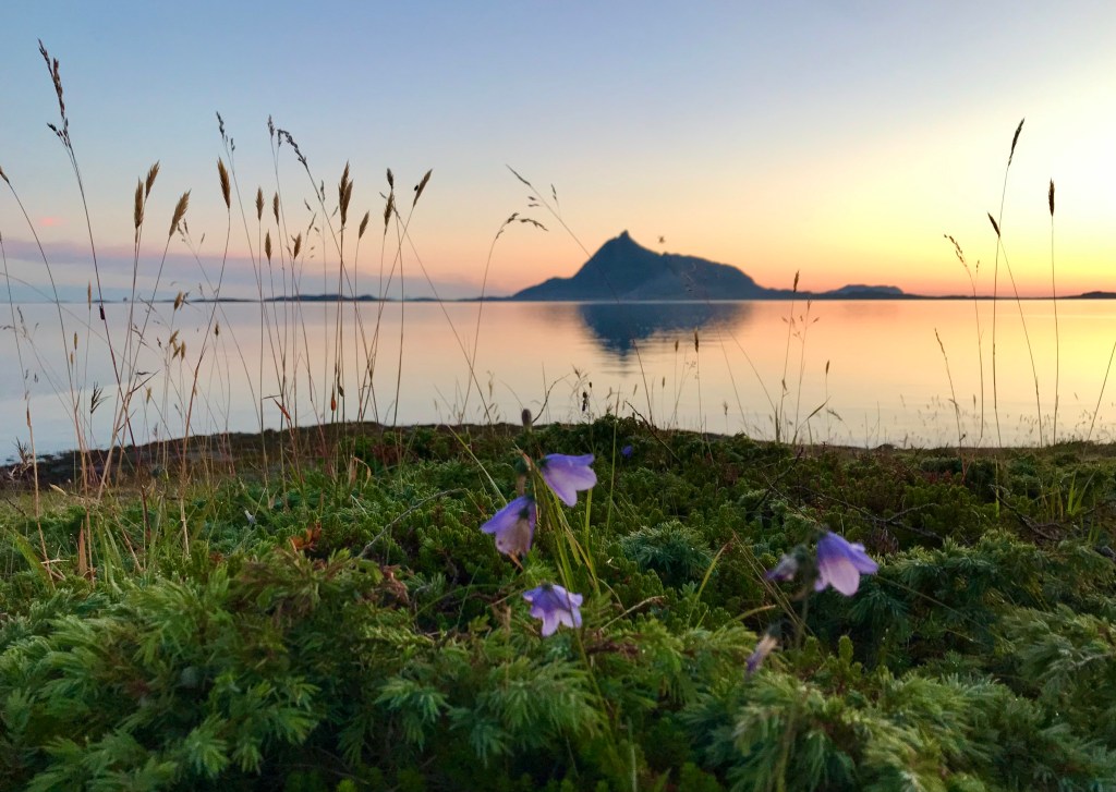 Hestmamennen i solnedgang, sommer på Helgeland